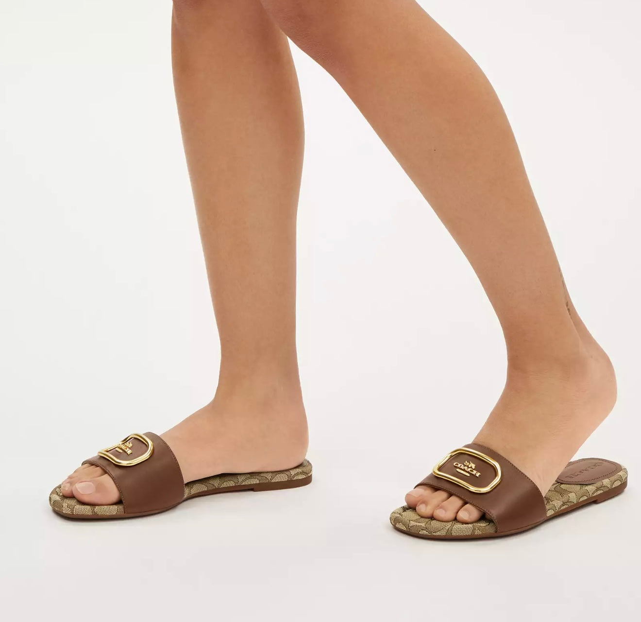 COACH Women’s Evy Sandal