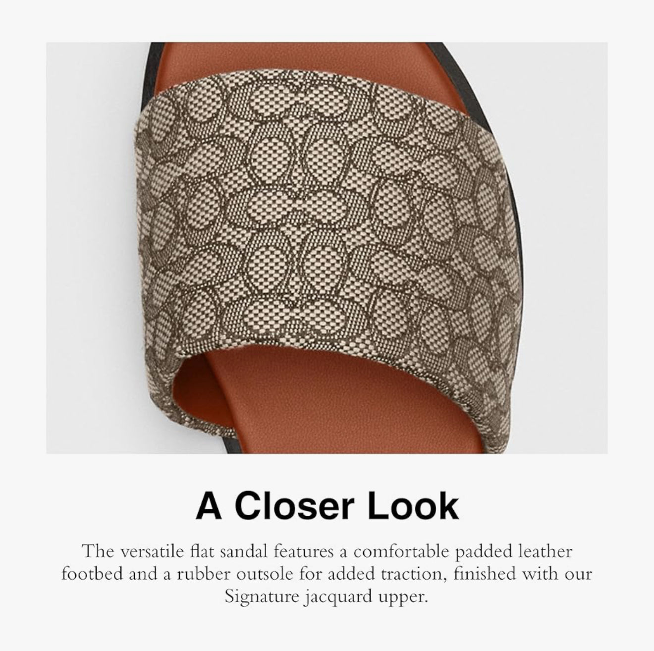 COACH Women's Holly Sandal