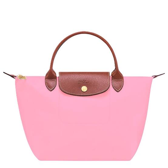 Long Champ Tote Small